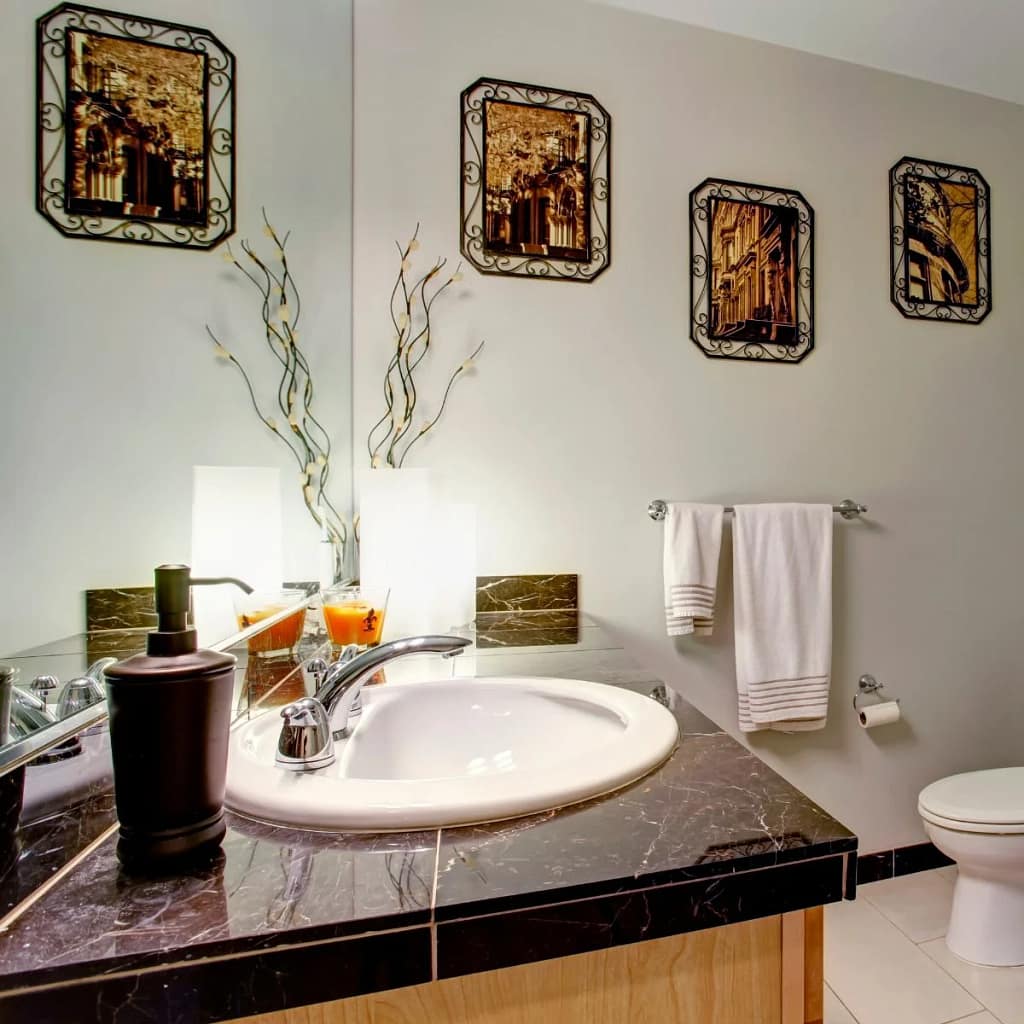 Dark Granite Bathroom Countertop